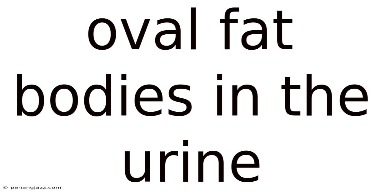 Oval Fat Bodies In The Urine