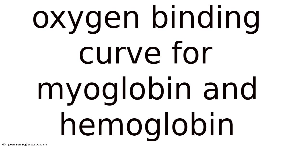 Oxygen Binding Curve For Myoglobin And Hemoglobin