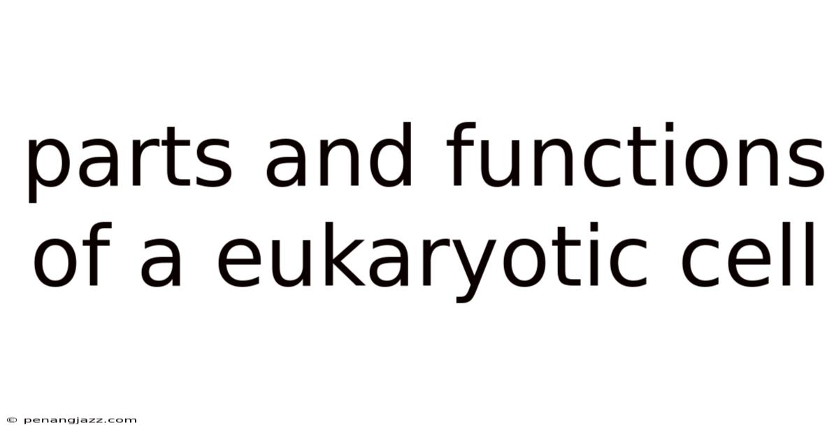 Parts And Functions Of A Eukaryotic Cell