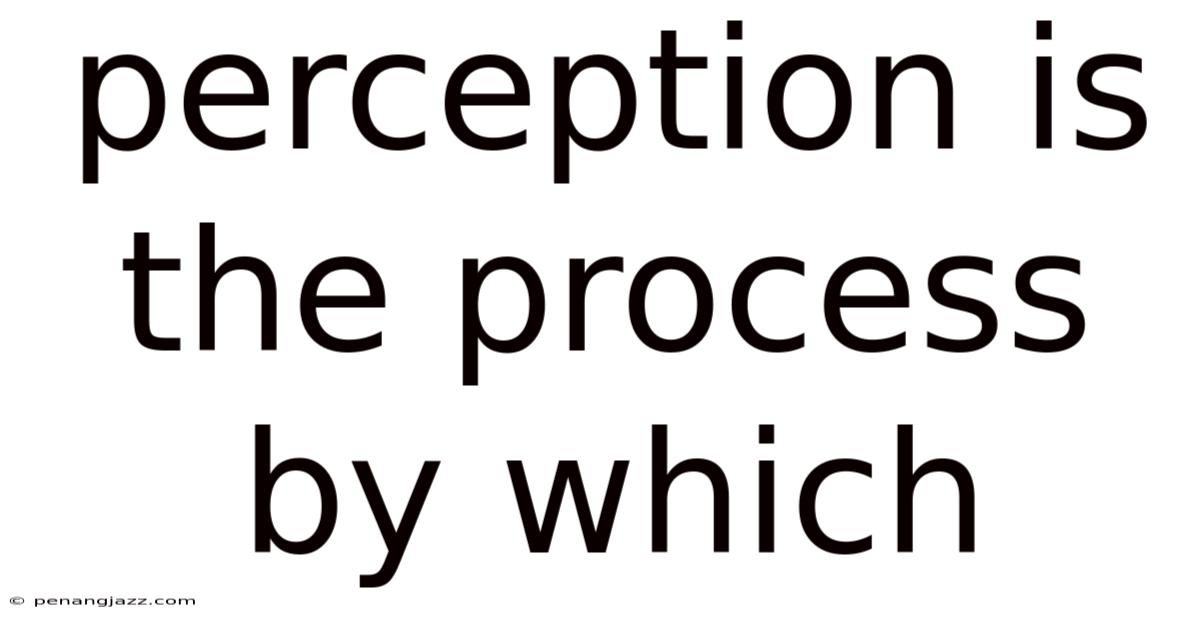 Perception Is The Process By Which