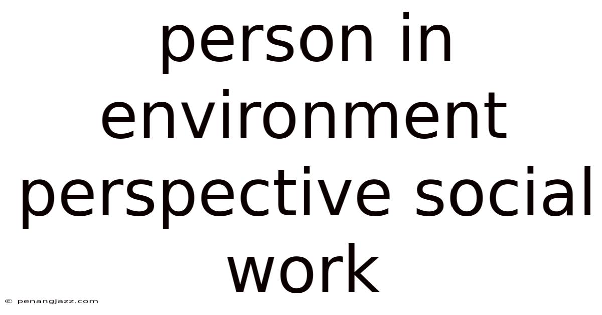 Person In Environment Perspective Social Work