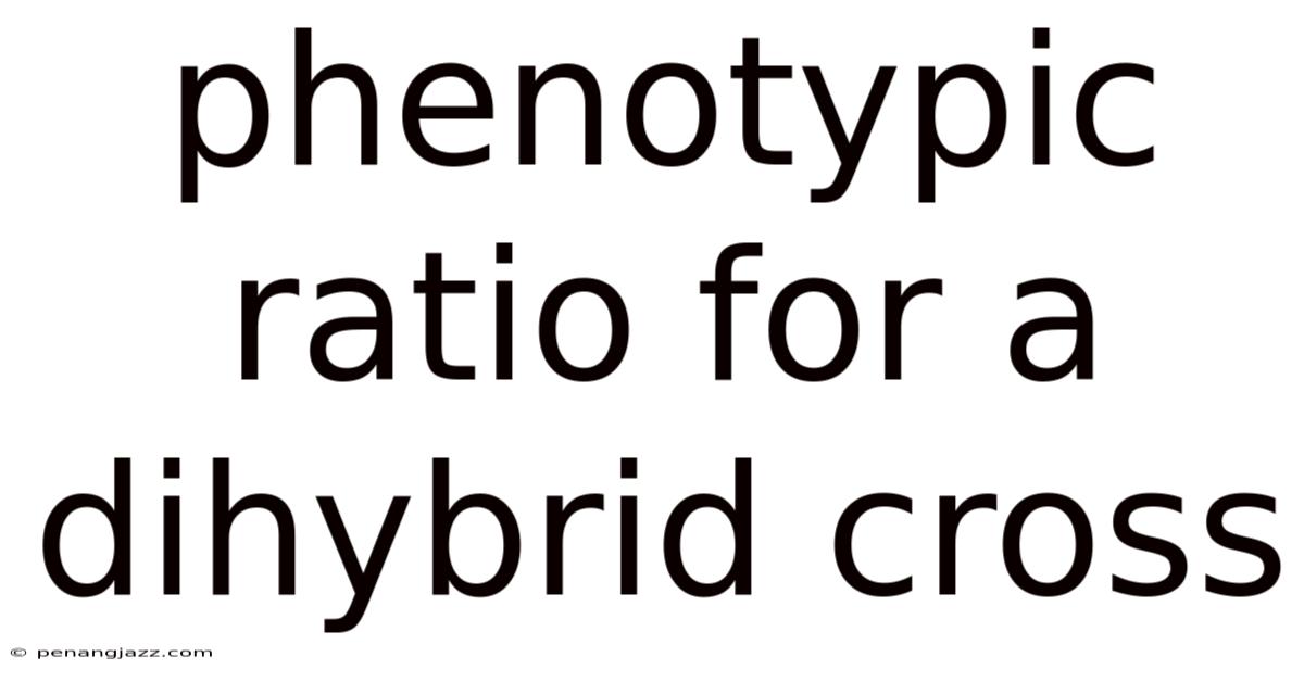 Phenotypic Ratio For A Dihybrid Cross