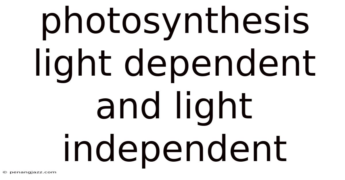 Photosynthesis Light Dependent And Light Independent