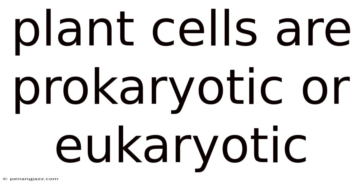 Plant Cells Are Prokaryotic Or Eukaryotic