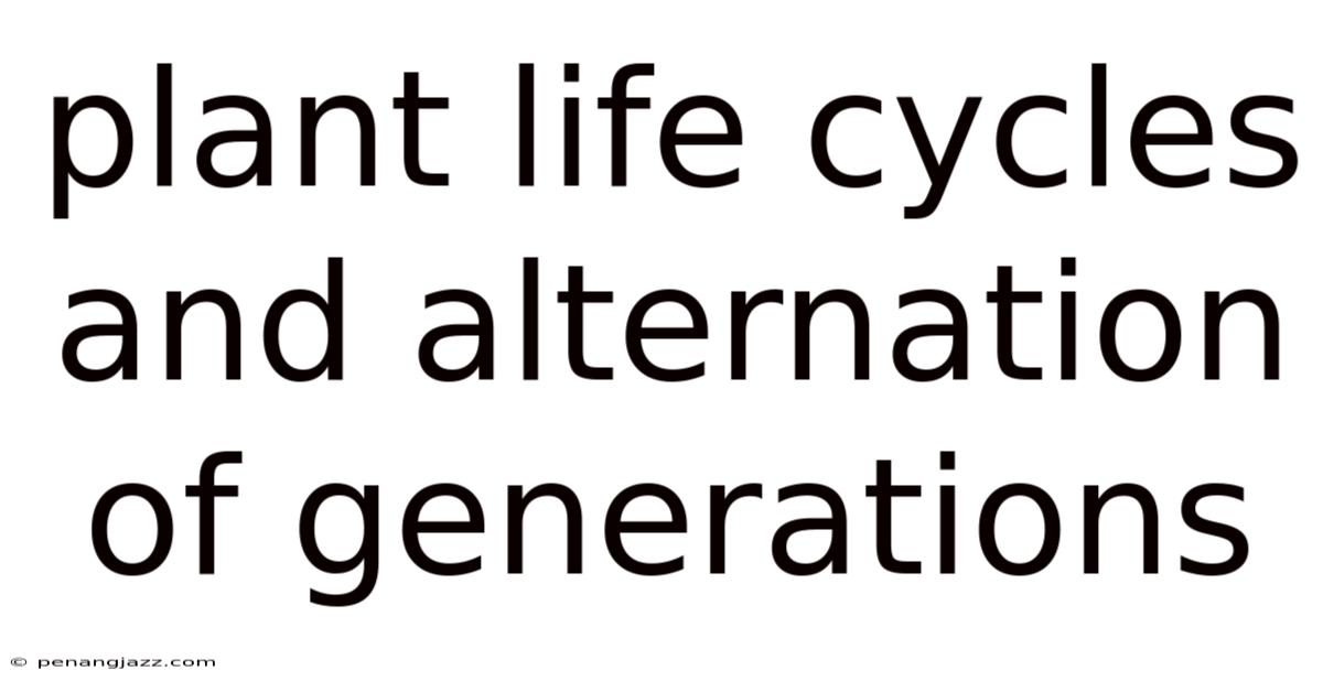 Plant Life Cycles And Alternation Of Generations