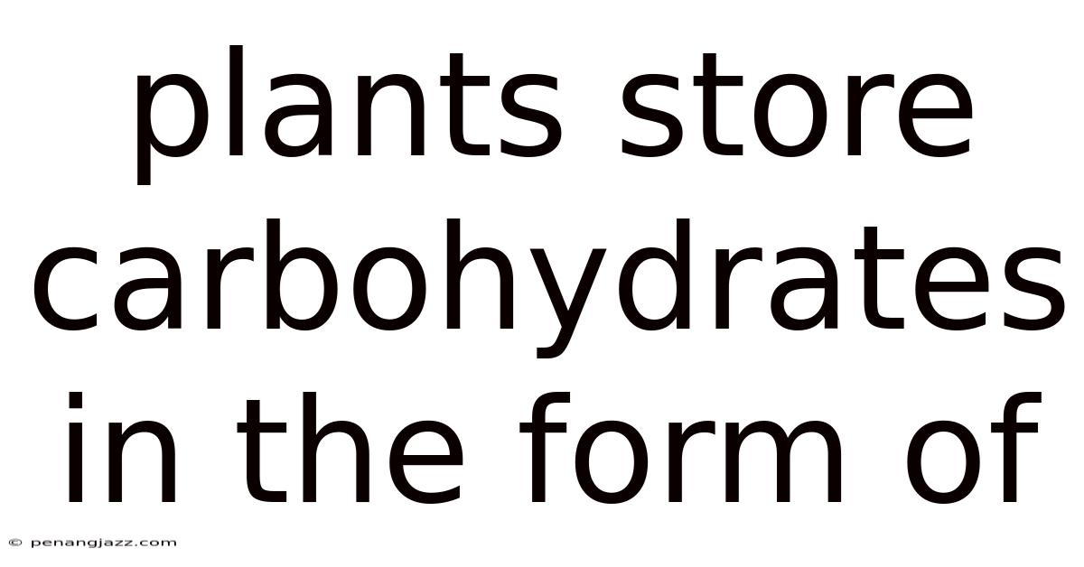 Plants Store Carbohydrates In The Form Of