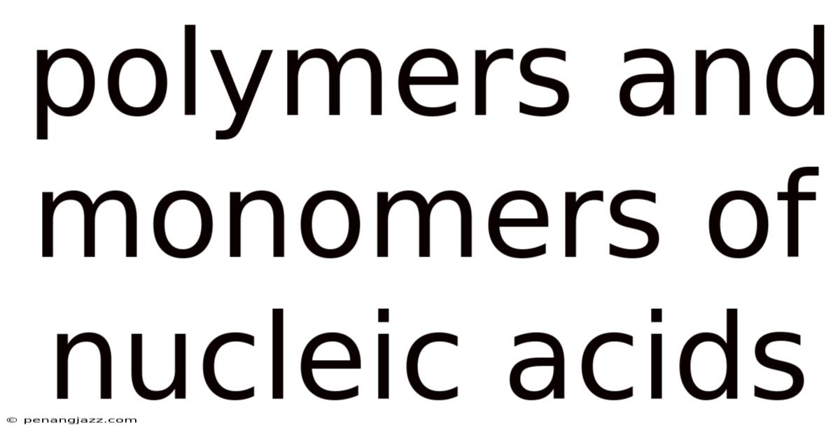 Polymers And Monomers Of Nucleic Acids