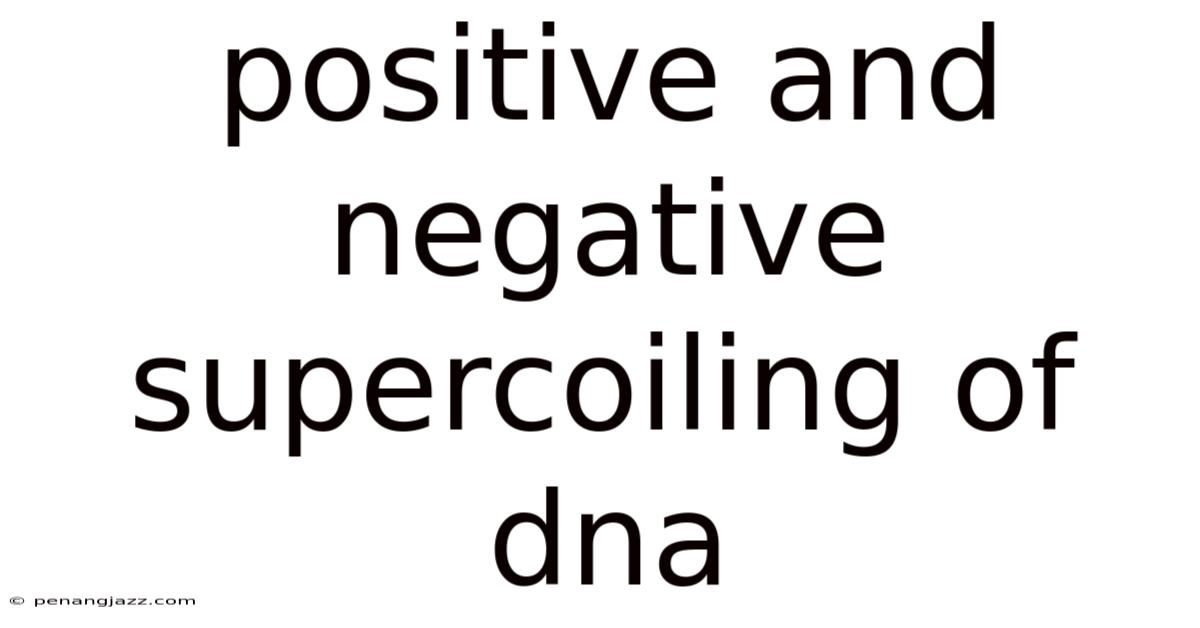 Positive And Negative Supercoiling Of Dna