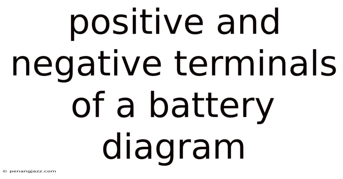 Positive And Negative Terminals Of A Battery Diagram