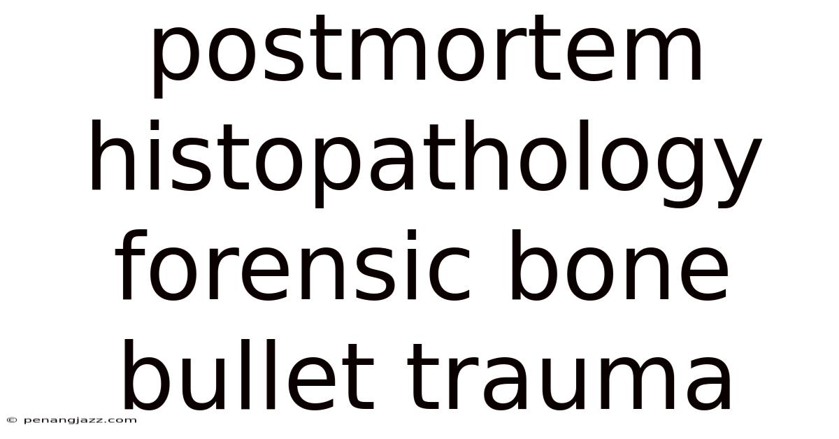 Postmortem Histopathology Forensic Bone Bullet Trauma