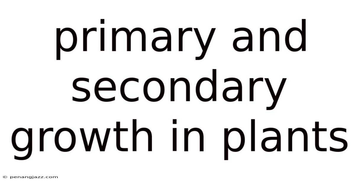 Primary And Secondary Growth In Plants