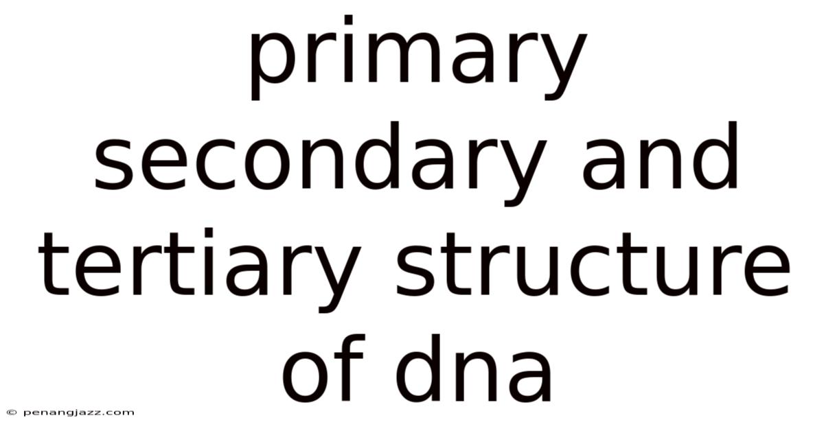 Primary Secondary And Tertiary Structure Of Dna
