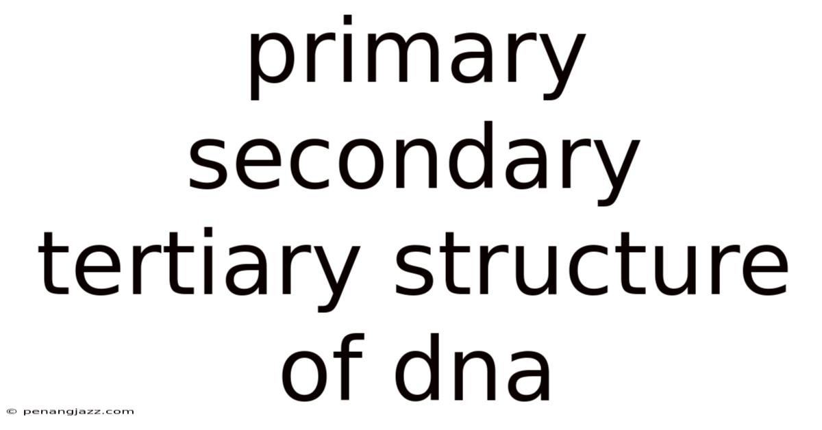 Primary Secondary Tertiary Structure Of Dna