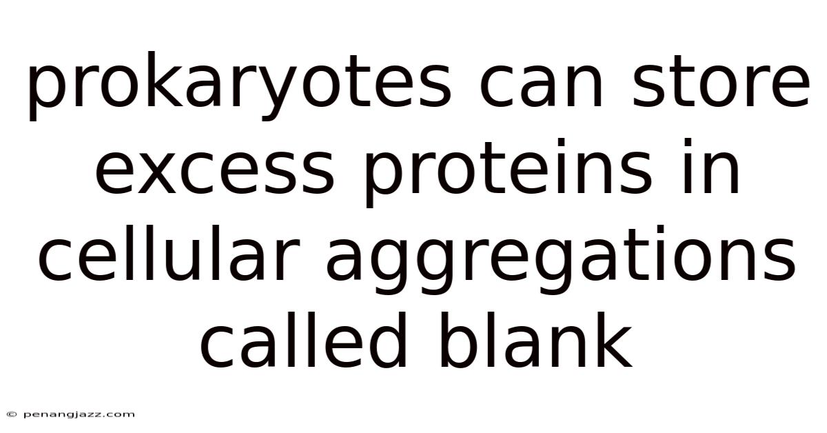 Prokaryotes Can Store Excess Proteins In Cellular Aggregations Called Blank