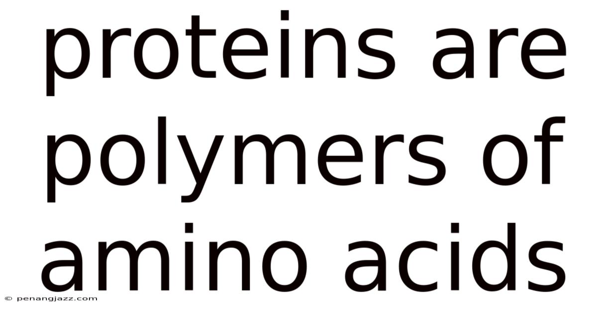Proteins Are Polymers Of Amino Acids