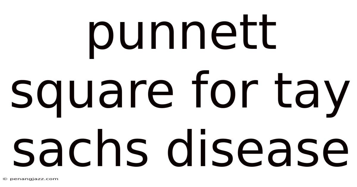 Punnett Square For Tay Sachs Disease