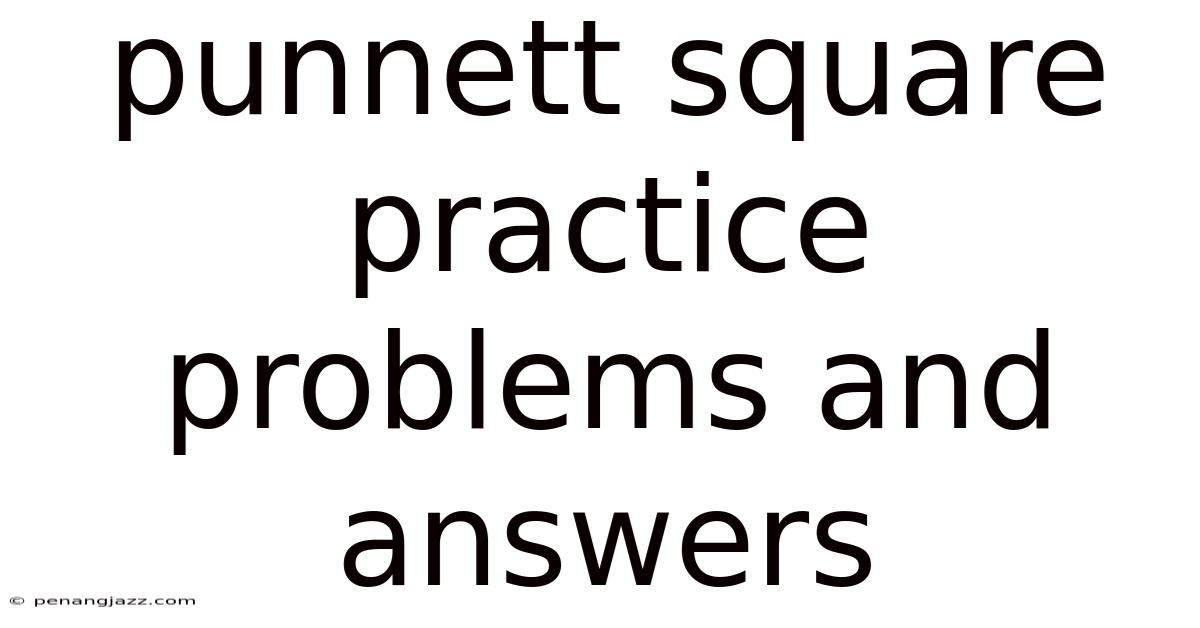 Punnett Square Practice Problems And Answers