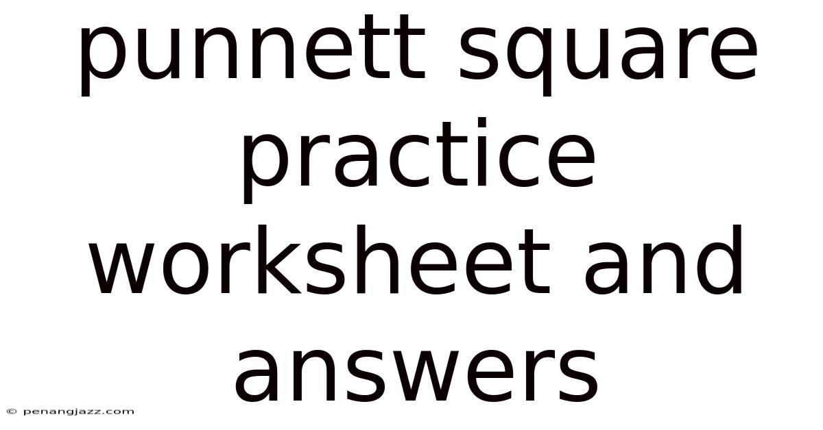 Punnett Square Practice Worksheet And Answers