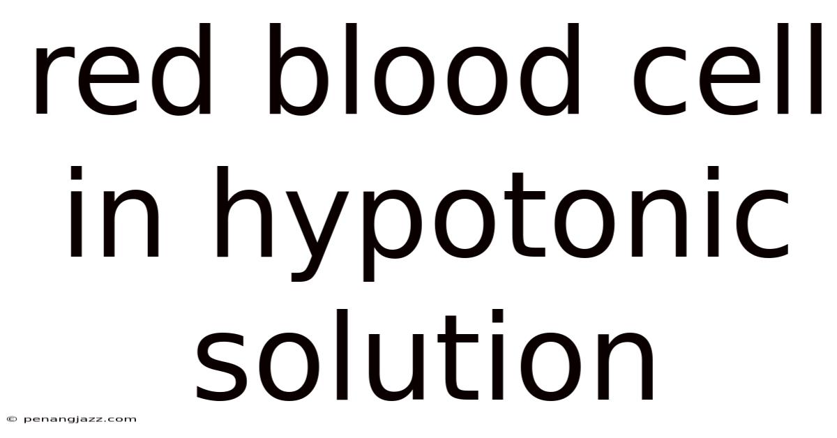 Red Blood Cell In Hypotonic Solution