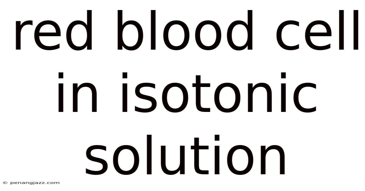 Red Blood Cell In Isotonic Solution