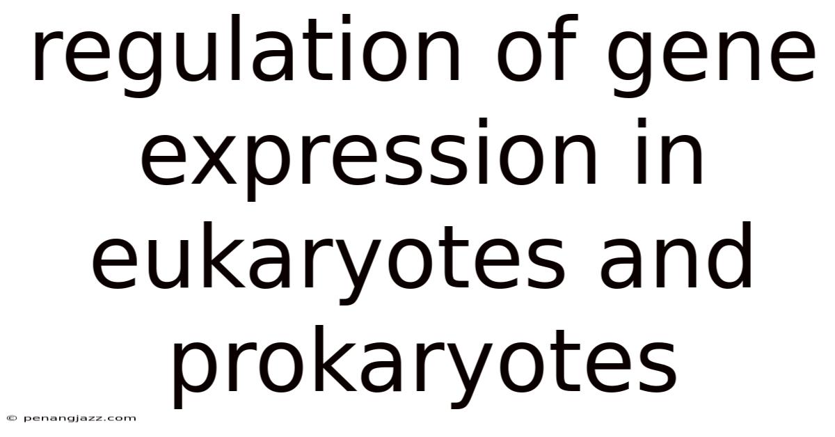 Regulation Of Gene Expression In Eukaryotes And Prokaryotes