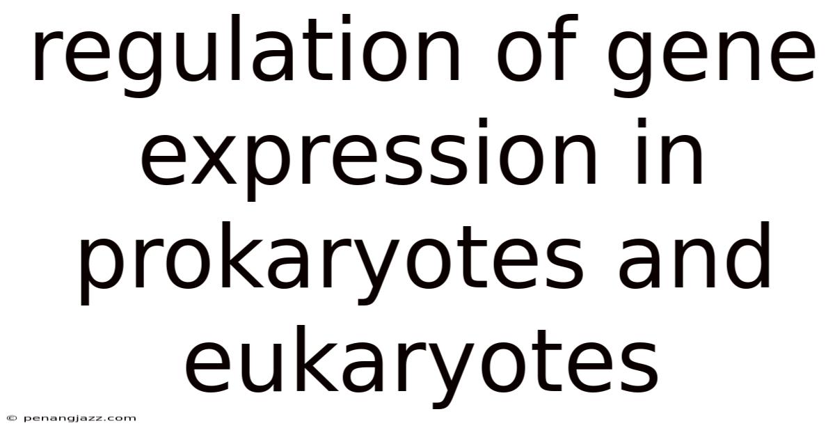 Regulation Of Gene Expression In Prokaryotes And Eukaryotes