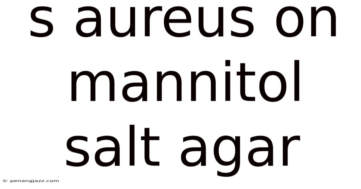 S Aureus On Mannitol Salt Agar