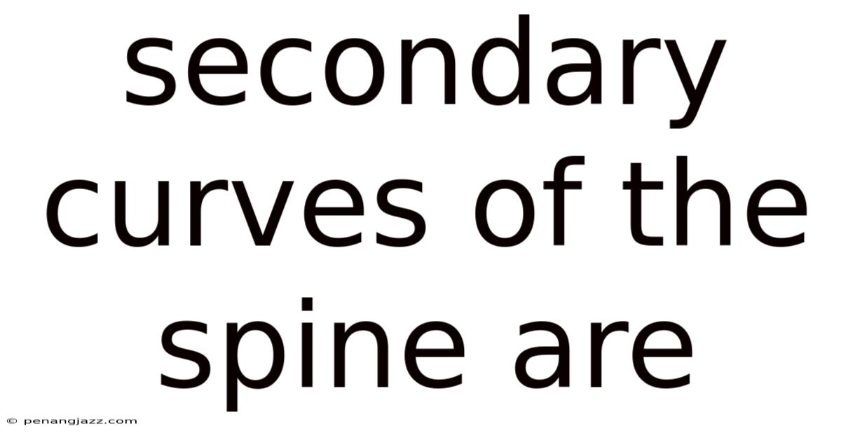Secondary Curves Of The Spine Are