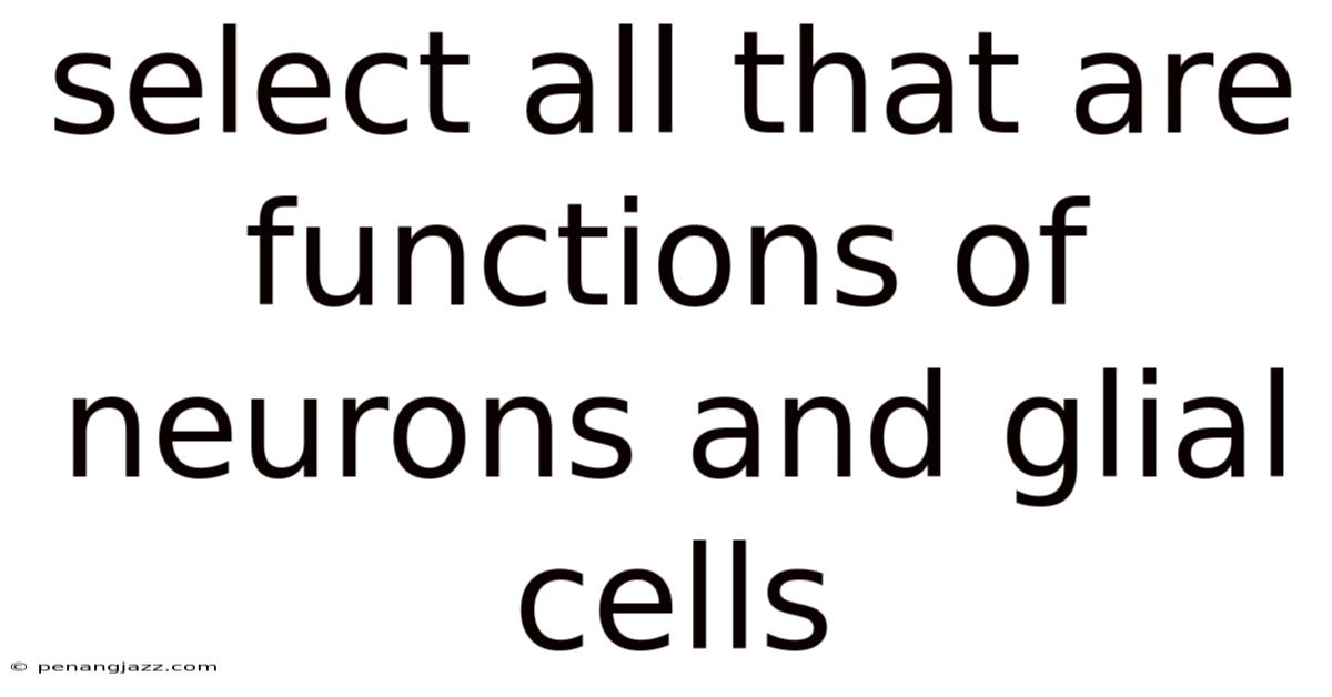 Select All That Are Functions Of Neurons And Glial Cells