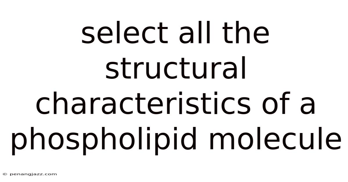 Select All The Structural Characteristics Of A Phospholipid Molecule