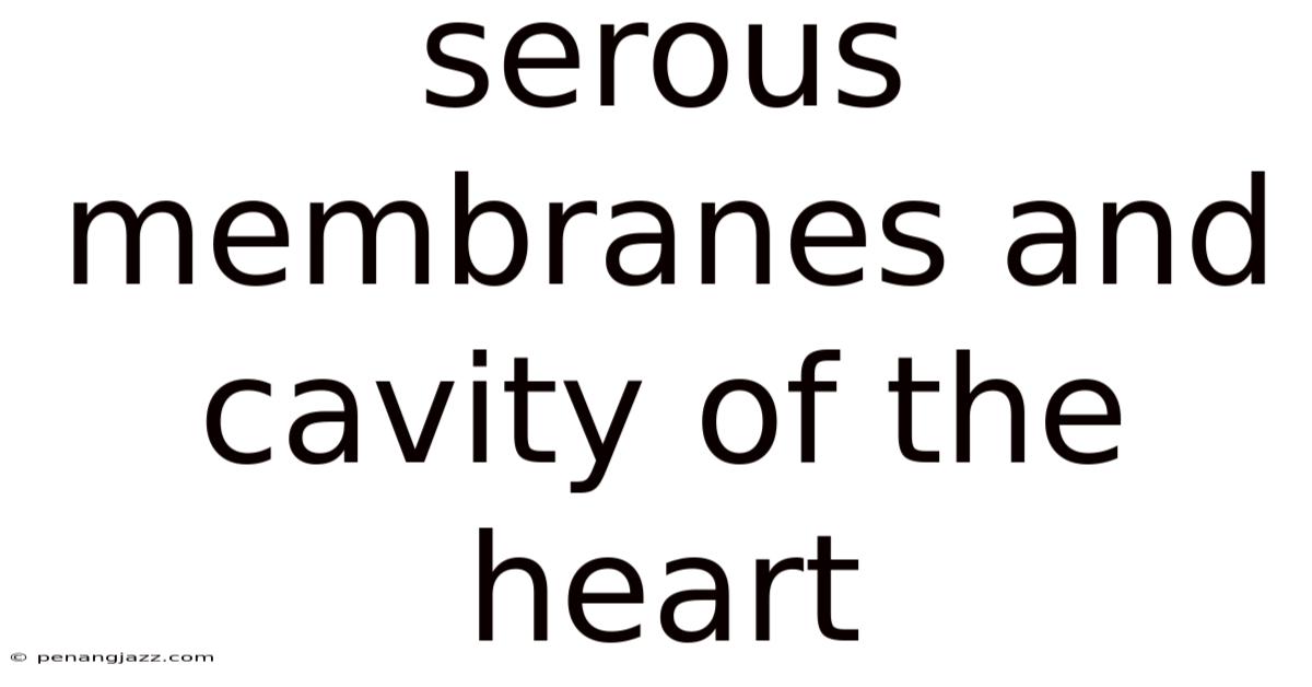 Serous Membranes And Cavity Of The Heart
