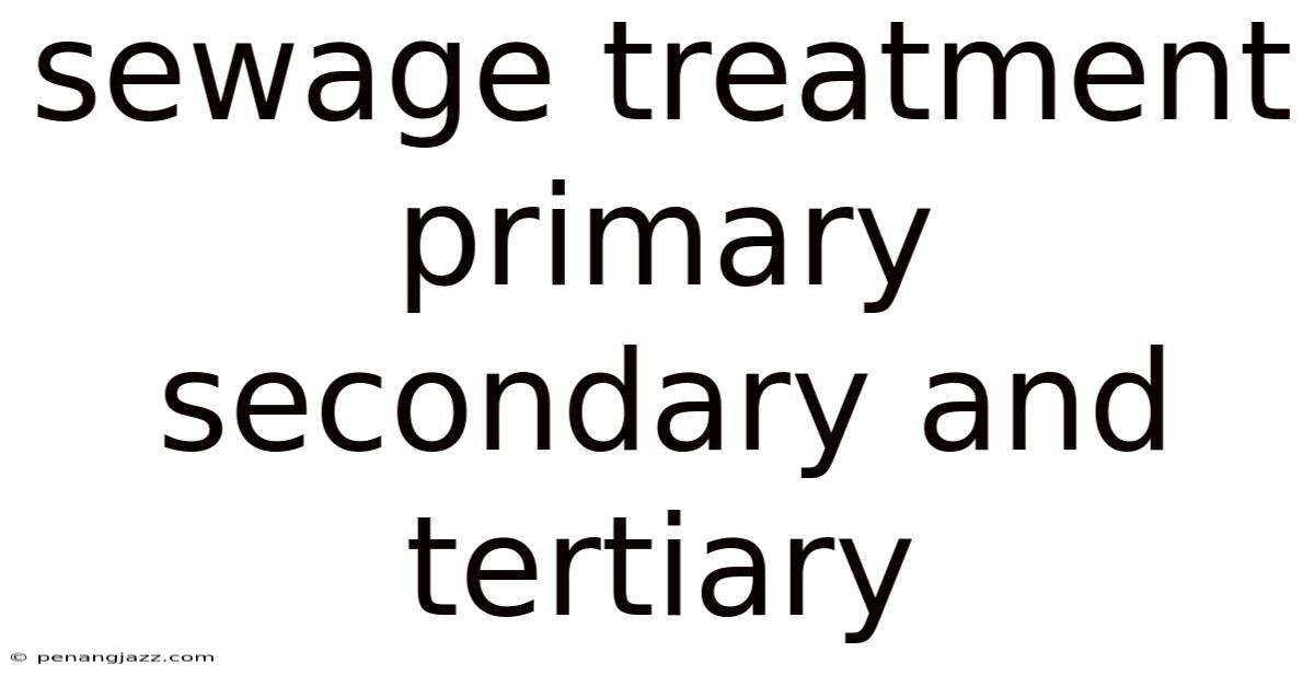 Sewage Treatment Primary Secondary And Tertiary