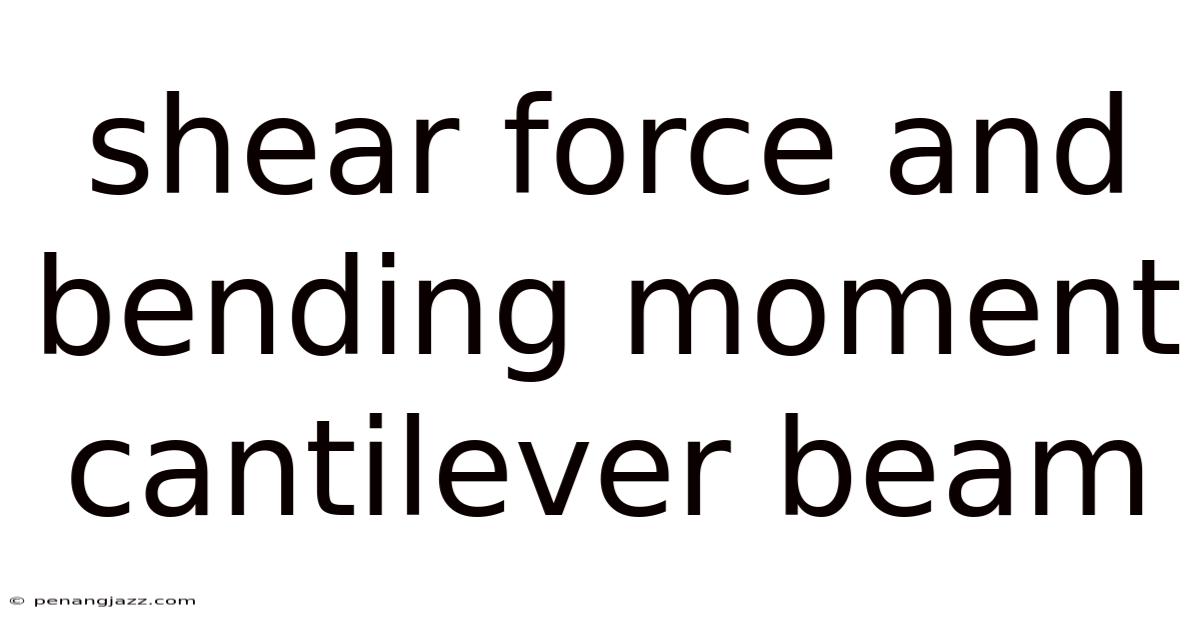 Shear Force And Bending Moment Cantilever Beam