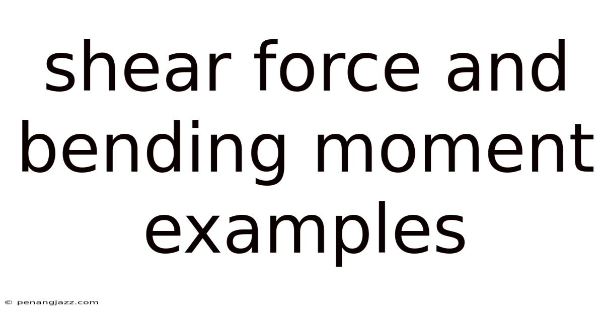 Shear Force And Bending Moment Examples