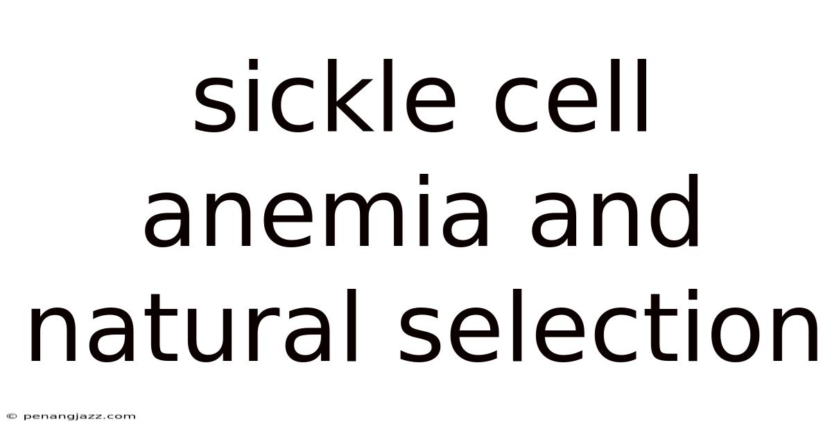 Sickle Cell Anemia And Natural Selection