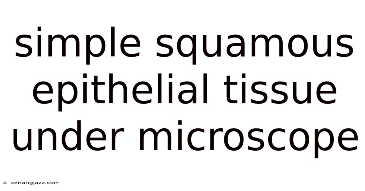 Simple Squamous Epithelial Tissue Under Microscope