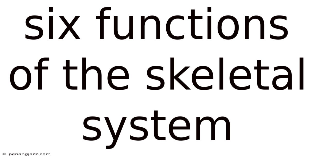 Six Functions Of The Skeletal System