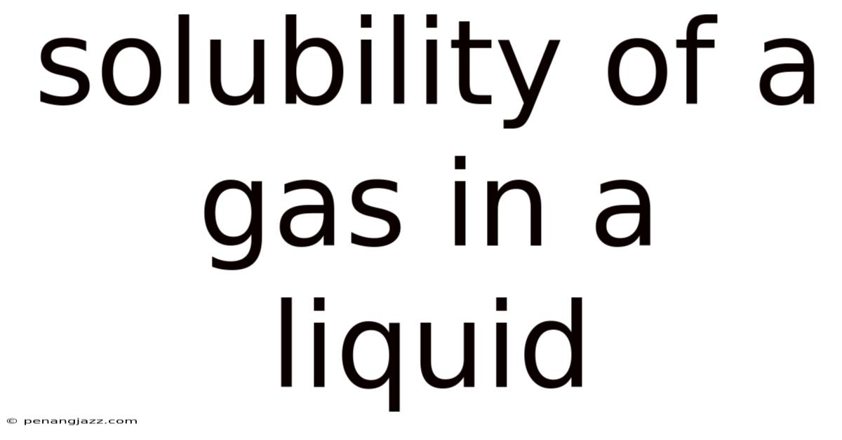 Solubility Of A Gas In A Liquid