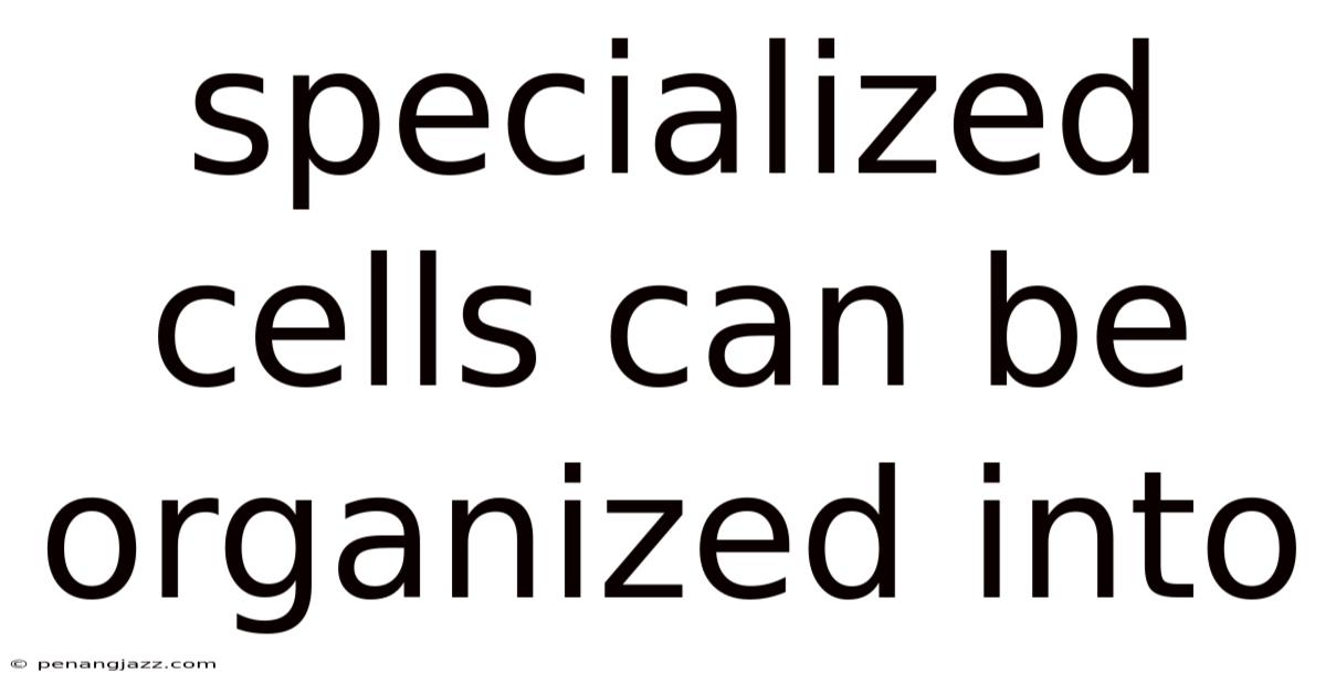 Specialized Cells Can Be Organized Into