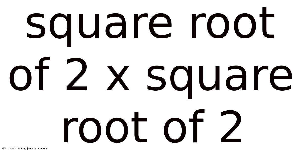 Square Root Of 2 X Square Root Of 2