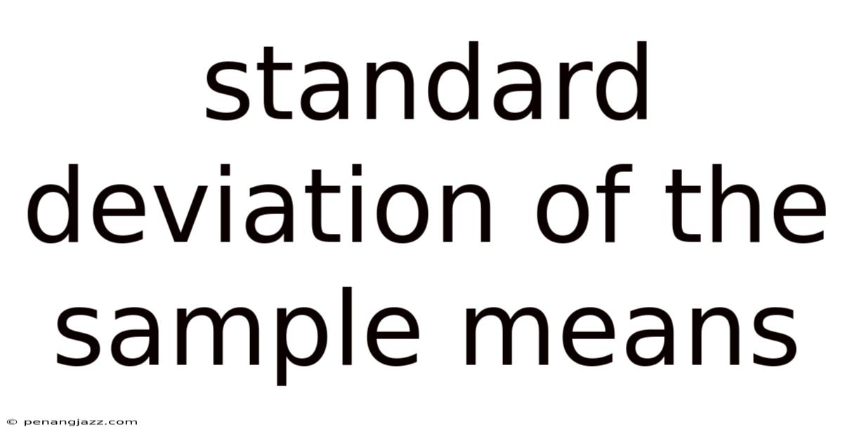 Standard Deviation Of The Sample Means
