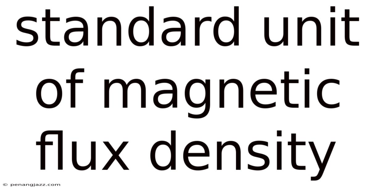Standard Unit Of Magnetic Flux Density