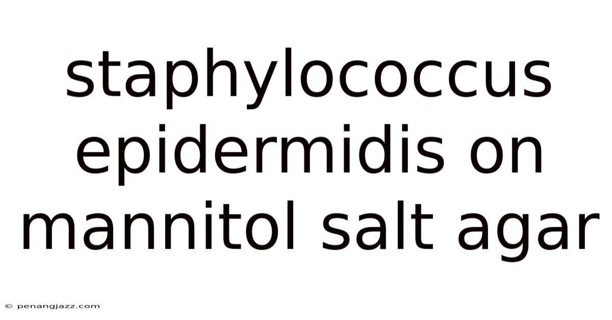 Staphylococcus Epidermidis On Mannitol Salt Agar