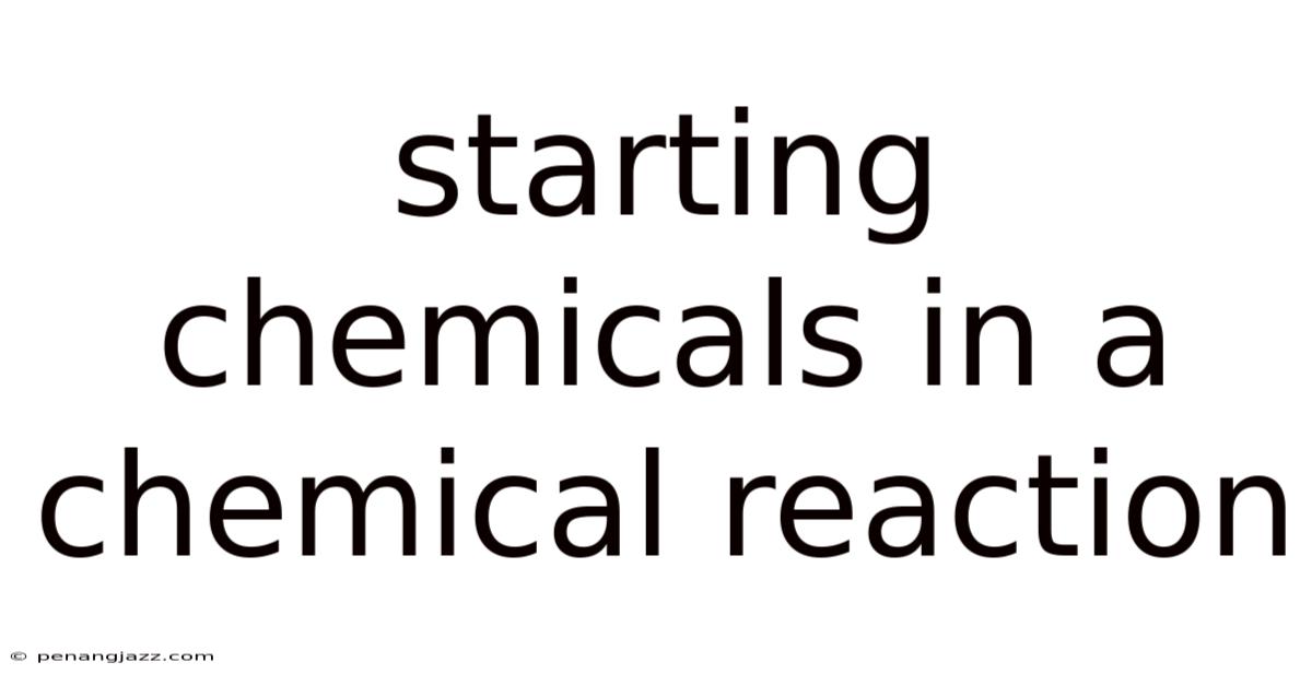 Starting Chemicals In A Chemical Reaction