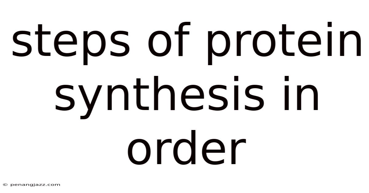Steps Of Protein Synthesis In Order