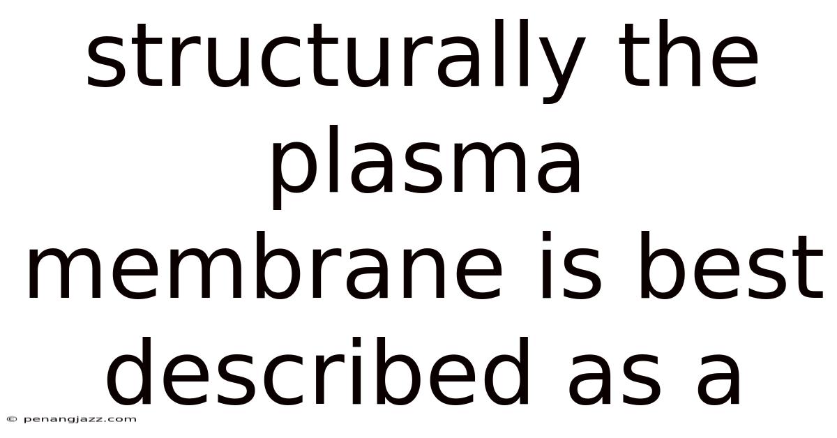 Structurally The Plasma Membrane Is Best Described As A