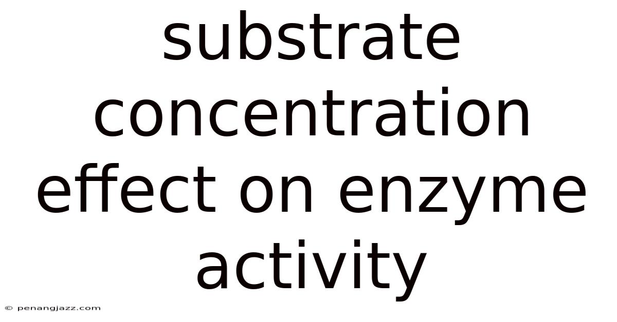 Substrate Concentration Effect On Enzyme Activity