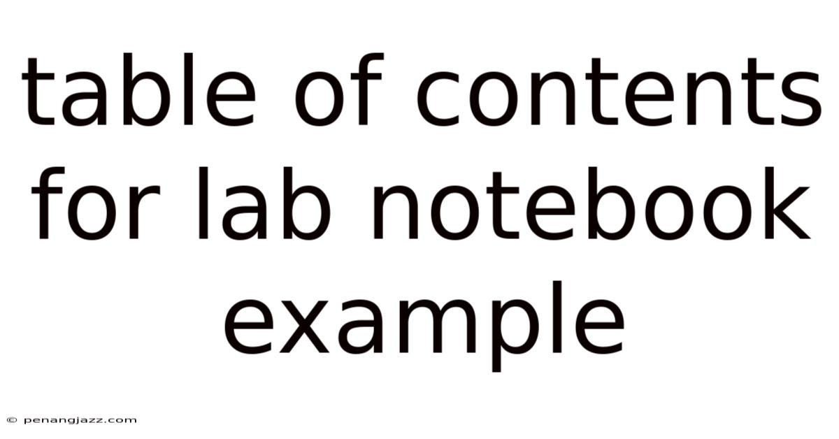 Table Of Contents For Lab Notebook Example