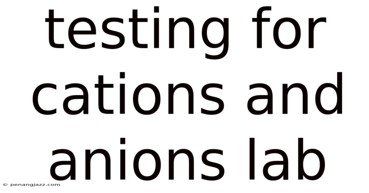 Testing For Cations And Anions Lab