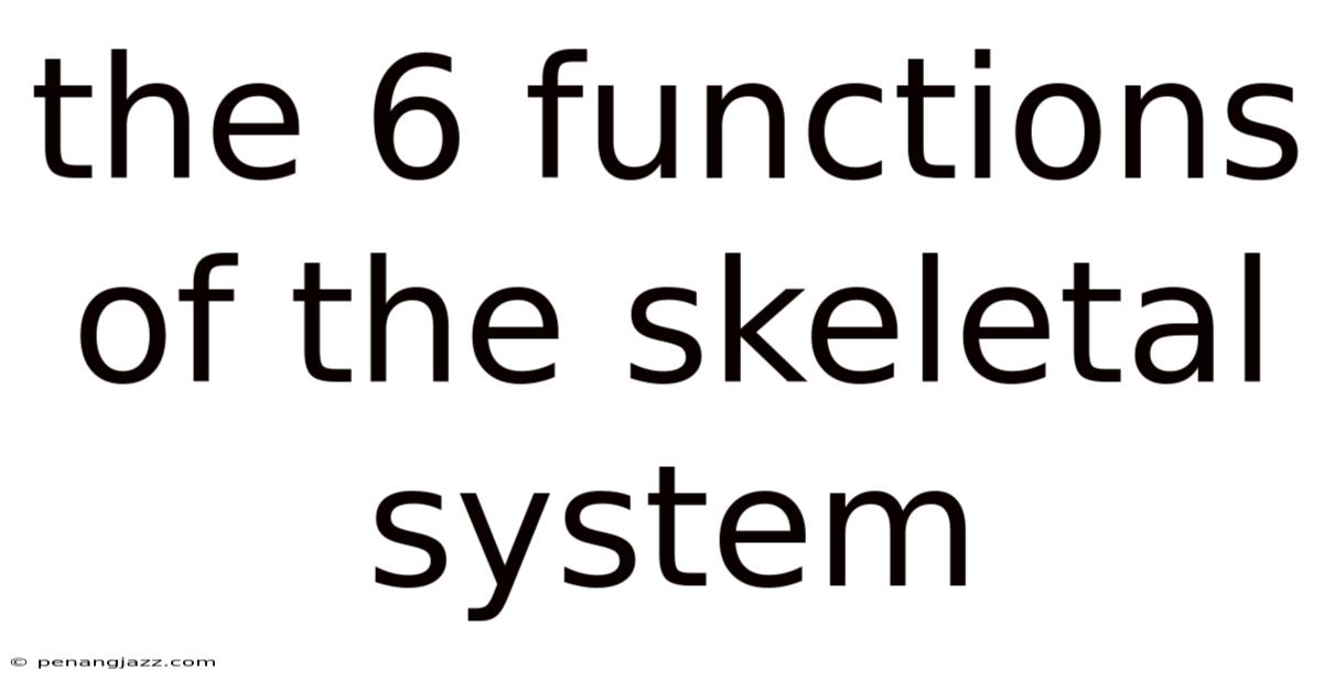 The 6 Functions Of The Skeletal System
